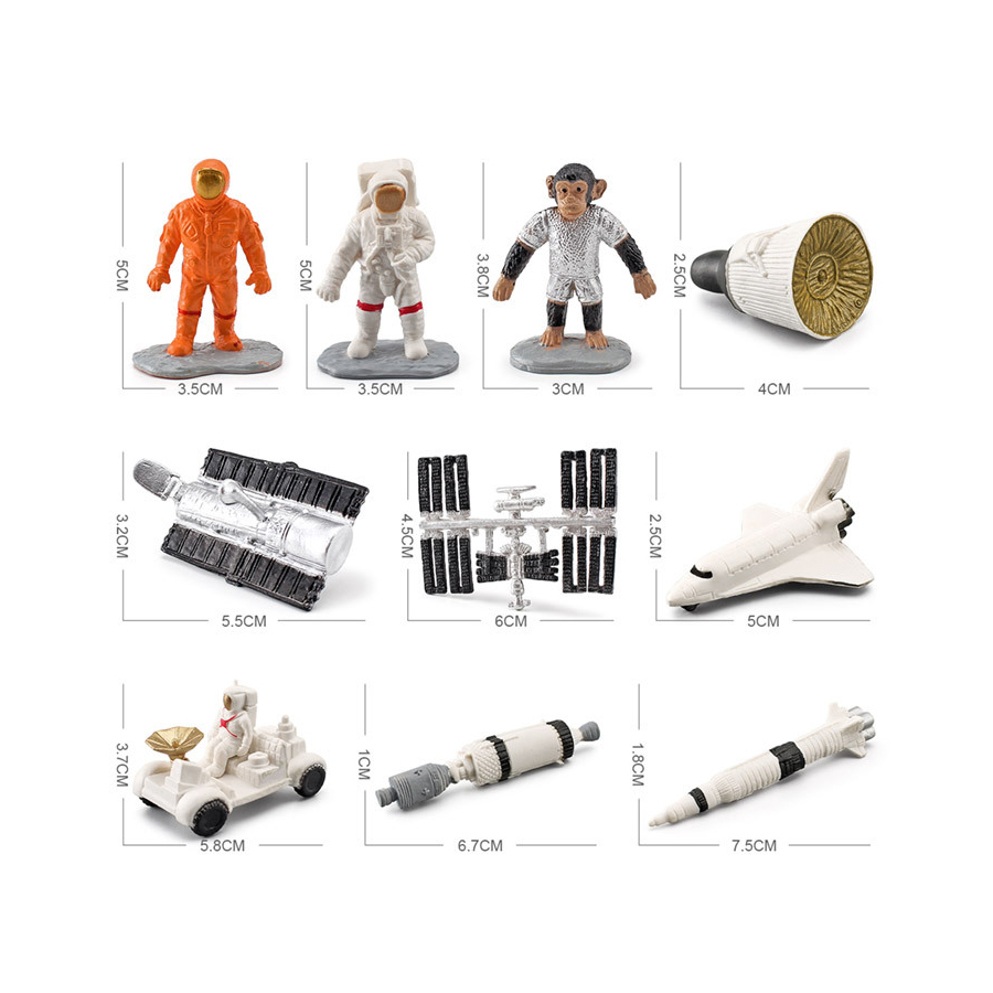 Realistic Human Organs Ancient - Kids Toys Egypt recensie en prijs